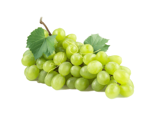 Çekirdeksiz Üzüm