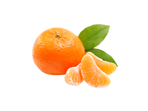 Mandalina