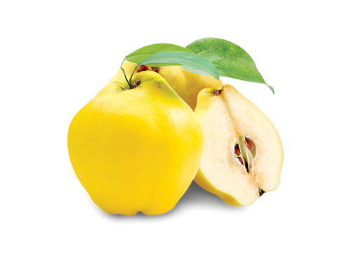 Ayva